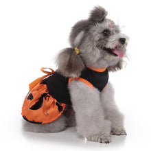 Halloween Wizard Dog Dress – Costume