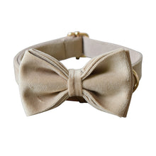 Nude Velvet Bow Pet Collar Set
