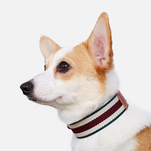 Woven Cowhide Adjustable Dog Collar