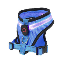 Rechargeable LED Mesh Dog Harness
