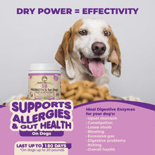 Extra Strength Probiotics for Dogs – 5 Billion CFU