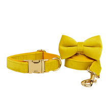 Velvet Bow Collar & Rope Set