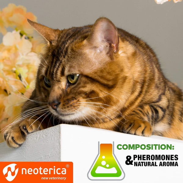 Calming Pheromone Spray for Cats – Stress Relief