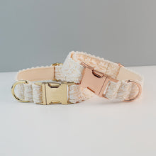 Velvet Collar with Gold Buckle Set