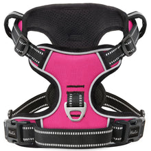 No-Pull Breathable Dog Harness – Rose (Large)