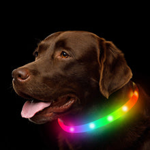 Luminous Silicone Pet Collar – Glow