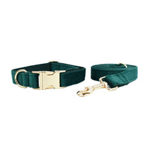 Velvet Pet Collar & Leash Set