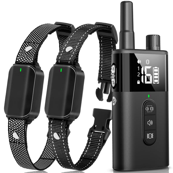 No Shock Dog Training Collar for 2 Dogs