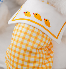 Cat & Small Dog Shirts – Pet Clothing