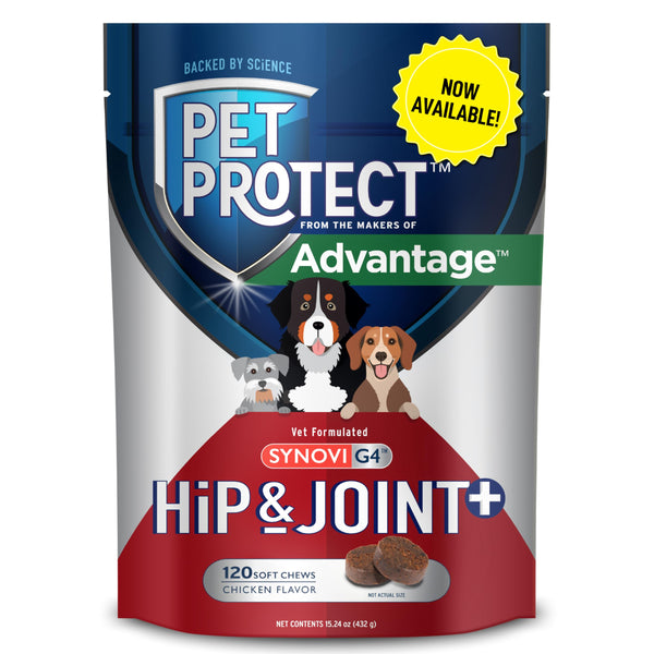 Hip & Joint+ Supplement for Dogs – 120 Chews
