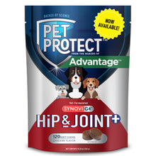 Hip & Joint+ Supplement for Dogs – 120 Chews