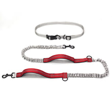 Outdoor Running Dog Leash – Foam Grip