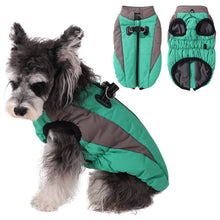 Waterproof Dog Coat with Built-In Harness