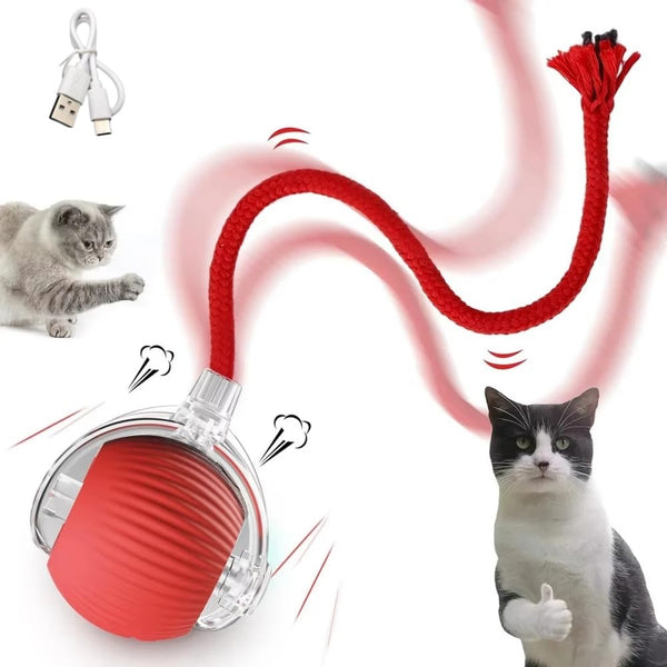 Interactive Rolling Ball Pet Toy