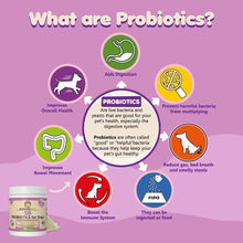 Extra Strength Probiotics for Dogs – 5 Billion CFU