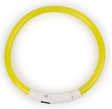 LED Light-Up Pet Collar