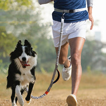 Outdoor Running Dog Leash – Foam Grip