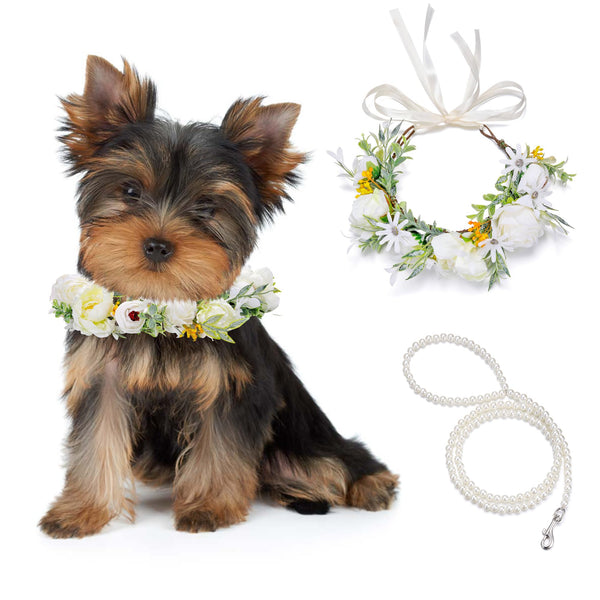 Dog Wedding Flower Collar & Leash Set – Small