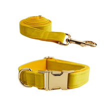 Velvet Bow Collar & Rope Set