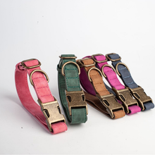 Engraved Leather Pet Collar – Custom